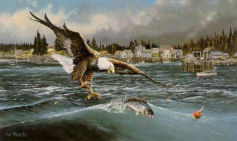 ציור שמן עיט צד דג בים