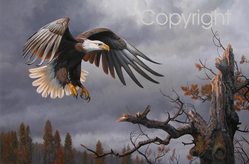 ציור שמן עיט ביום חורפי