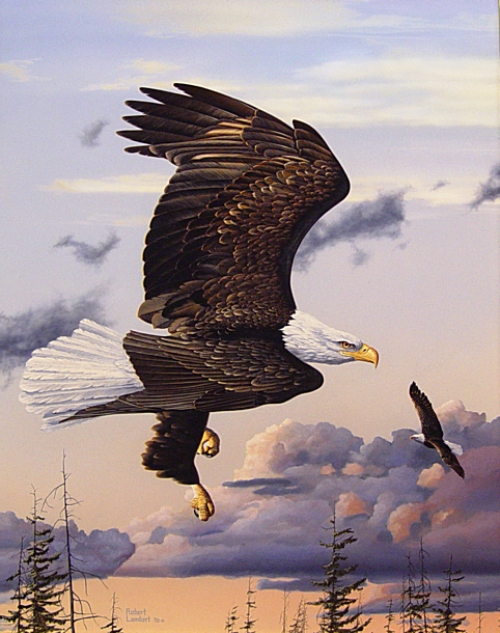 ציור שמן זוג עיטים עפים מעל העמק