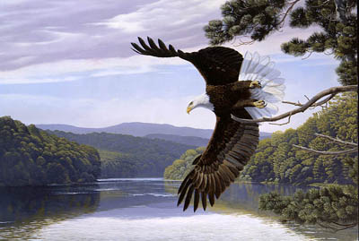 ציור שמן עיט לקראת צייד