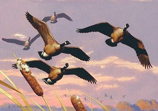 ציור שמן להקת אווזי בר עפים מעל אגם : image 1
