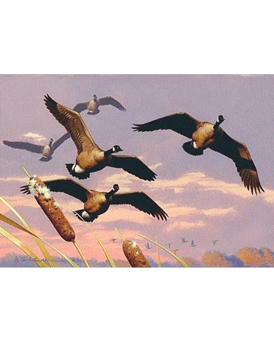 ציור שמן להקת אווזי בר עפים מעל אגם