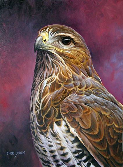 ציור שמן יפה של בז מצוי