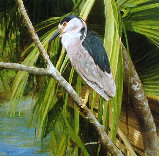 ציור שמן של ציפור מים מעל הנחל