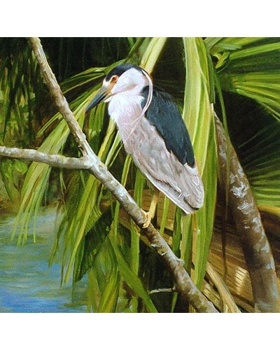 ציור שמן של ציפור מים מעל הנחל