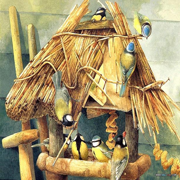 ציור שמן של כנריות 